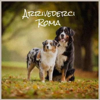 Various Artist - Arrivederci Roma