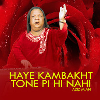 Aziz Mian - Haye Kambakht Tone Pi Hi Nahi