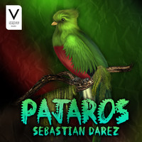 Sebastian Darez - Pajaros