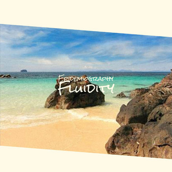Various Artists - Epidemiography Fluidity