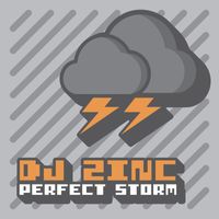 DJ Zinc - Perfect Storm