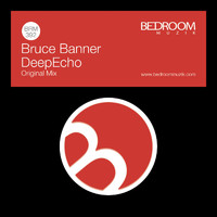 Bruce Banner - DeepEcho