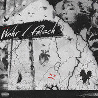 Dasco - WAHR/FALSCH (Explicit)