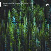 Spectrum Vision, Unusual Cosmic Process - Up & Go