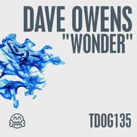 Dave Owens - Wonder