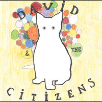 David & The Citizens - 1999 – 2005