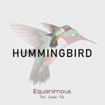 Equanimous - Hummingbird