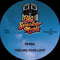 Pansil - Feeling Your Love