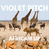 Violet Pitch - AFRICAM UP