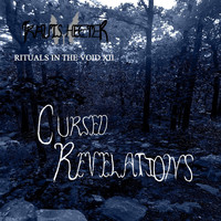 Travis Heeter - Rituals in the Void XII: Cursed Revelations