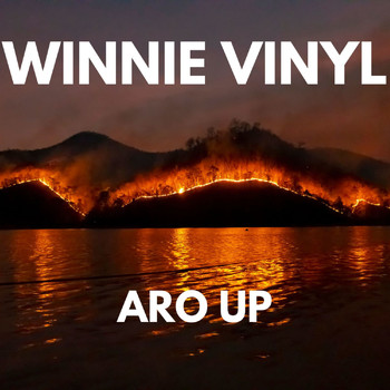 Winnie Vinyl - ARO UP
