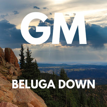gm - BELUGA DOWN