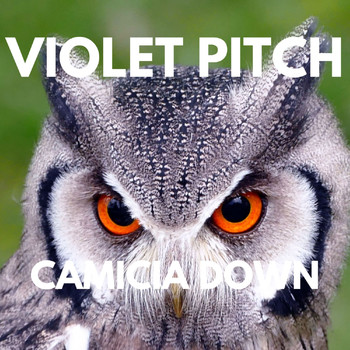 Violet Pitch - CAMICIA DOWN