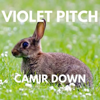 Violet Pitch - CAMIR DOWN