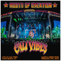 Roots of Creation, Brett Wilson - Live at Cali Vibes Festival, Long Beach, CA 2/5/22 (Explicit)