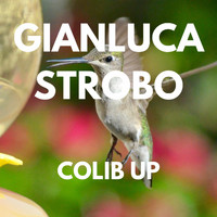 Gianluca Strobo - COLIB UP