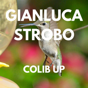 Gianluca Strobo - COLIB UP