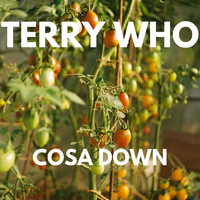 Terry Who - COSA DOWN