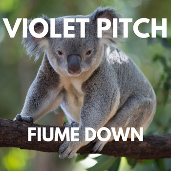 Violet Pitch - FIUME DOWN