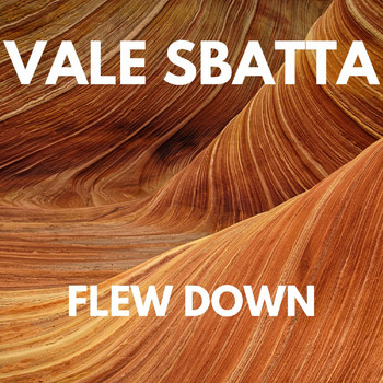 Vale Sbatta - FLEW DOWN