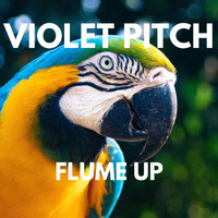 Violet Pitch - FLUME UP