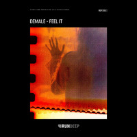 Demale - Feel It
