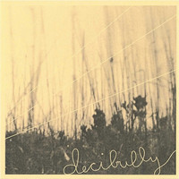 Decibully - 3 Song Sampler