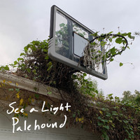 Palehound - See A Light