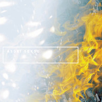 Asobi Seksu - Perfectly Crystal
