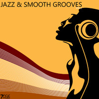 Various Artists - Jazz & Smooth Grooves, Vol. 2