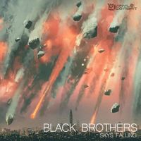 Black Brothers - Skys Falling