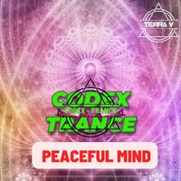 Terra V. - Peaceful Mind (Extended Mix)