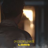 Loris - Pixelisé