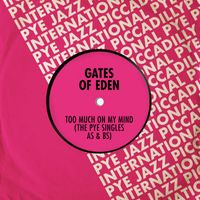 Gates of Eden - Too Much on My Mind: The Pye Singles As & Bs