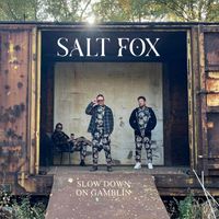Salt Fox - Slow Down on Gamblin'