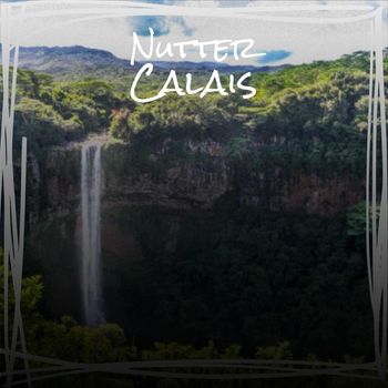 Various Artists - Nutter Calais