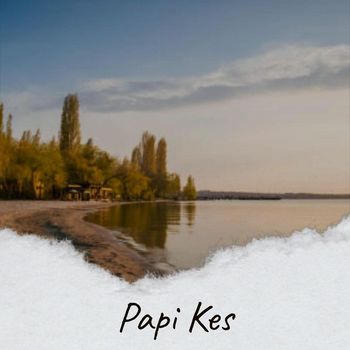 Various Artists - Papi Kes