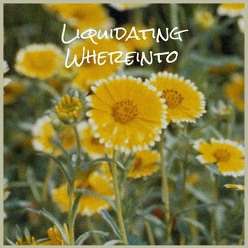 Various Artists - Liquidating Whereinto