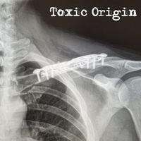 Toxic Origin - Will Fall