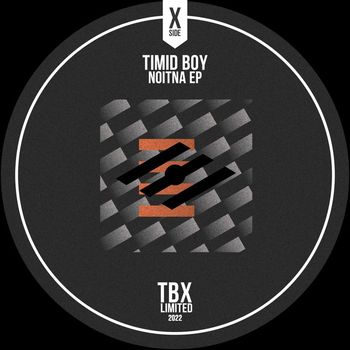 Timid Boy - Noitna EP