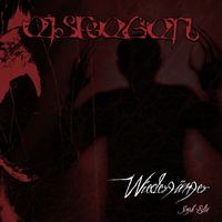 Eisregen - Wiedergänger (Single Edit [Explicit])