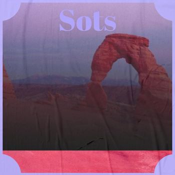 Various Artists - Sots
