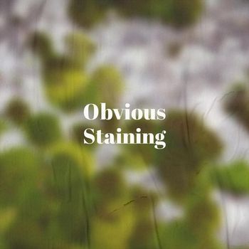 Various Artists - Obvious Staining