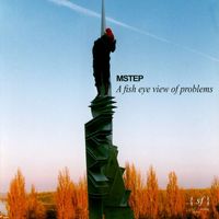 Mstep - A Fish Eye View of Problems