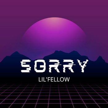 lil'fellow - Sorry