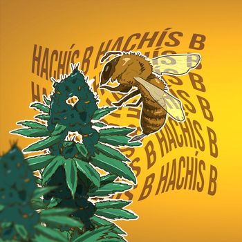 APRE - Hachís B