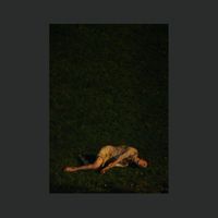 Yeah Yeah Yeahs & Boys Noize - Wolf (Boys Noize Remix)