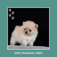 Relaxing Dog Music - Dog Tranquil Vibes