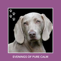Relaxing Dog Music - Evenings Of Pure Calm
