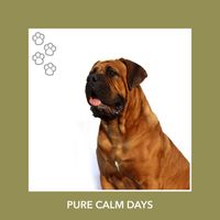 Relaxing Dog Music - Pure Calm Days